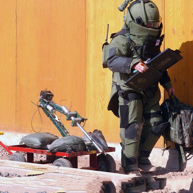 Protection and Survivability